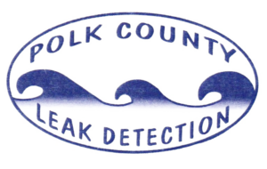 Pool Service and Leak Detection in the Greater Polk Area